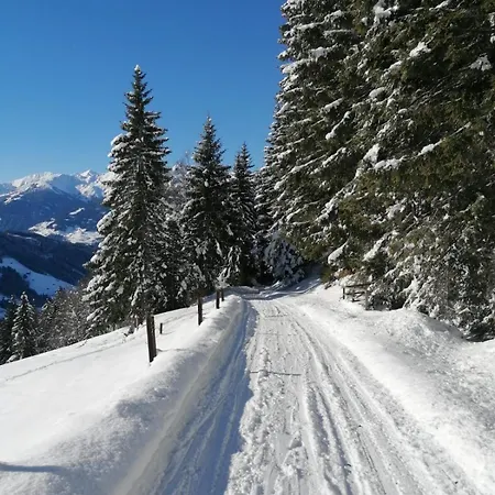 Lejlighed Katharina Schneeberger