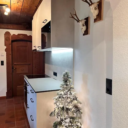 Katharina Schneeberger Lejlighed