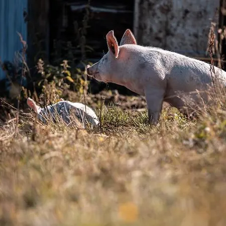 公寓 Katharina Schneeberger