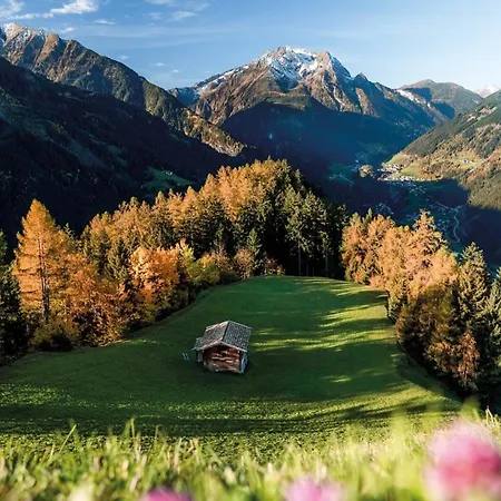 Katharina Schneeberger Lejlighed *